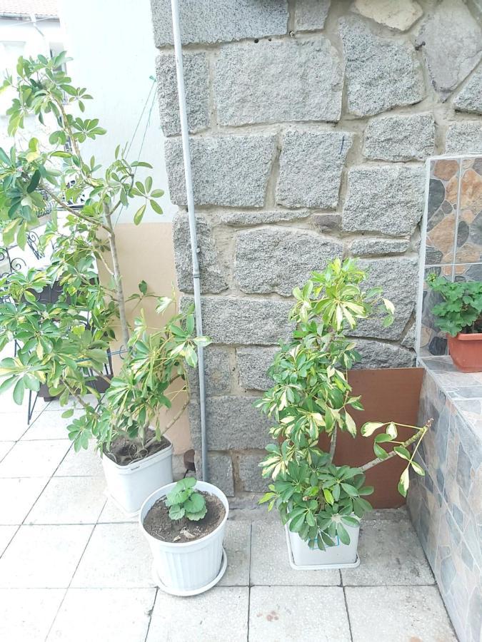 Kyshta Za Gosti Dari Rumi 1 Süzebolu Dış mekan fotoğraf